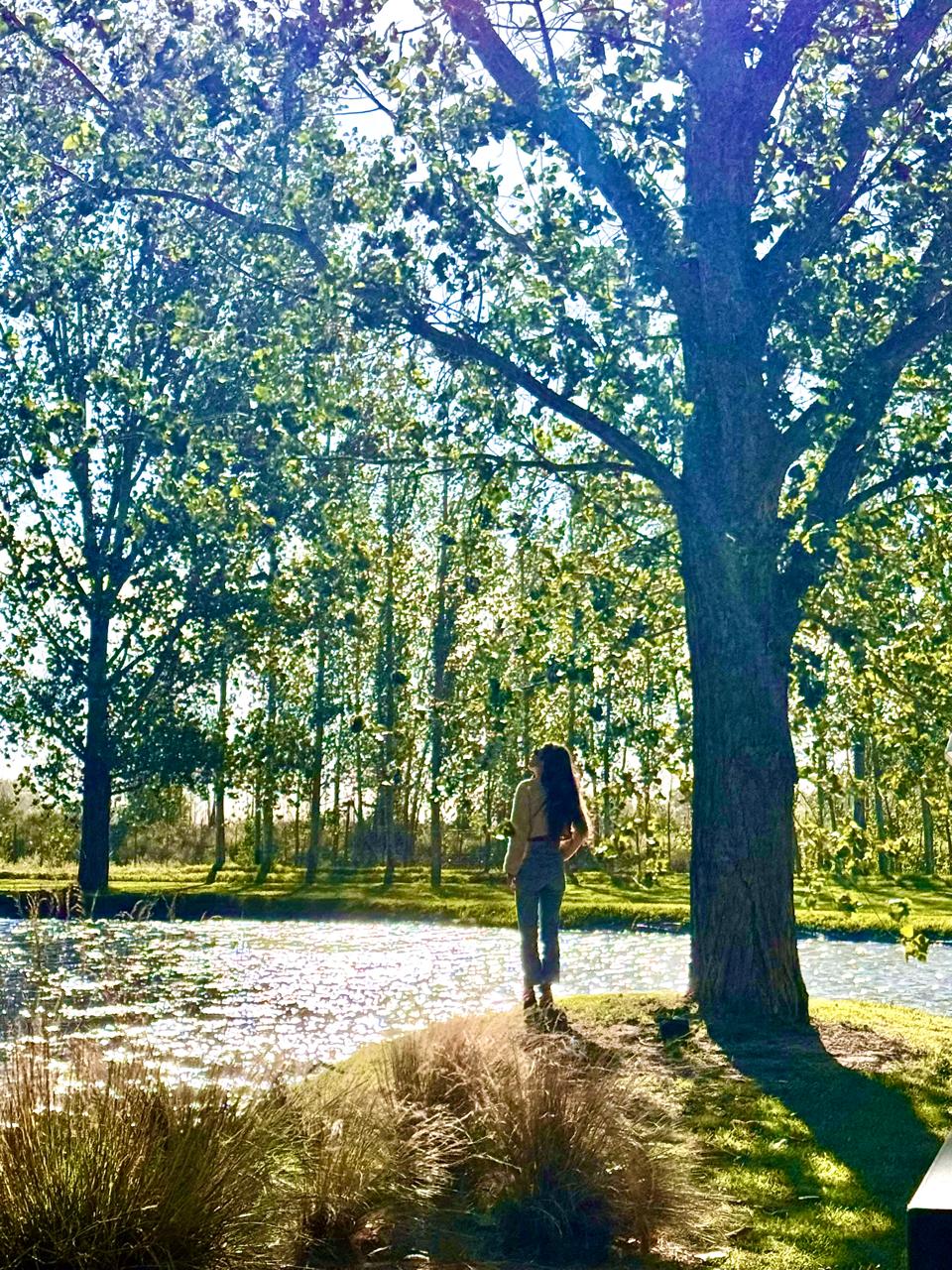 Caminando en la naturaleza, en conexión con la mente